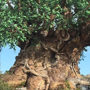 Meet your Posher, Nathan